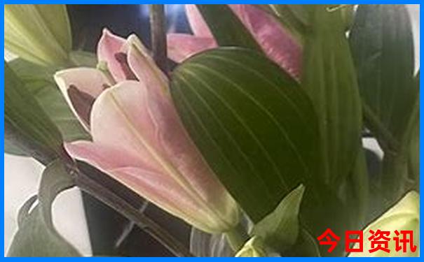 云南玩一个星期要花多少钱